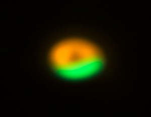 ALMA and VLT image of comet factory around Oph-IRS 48