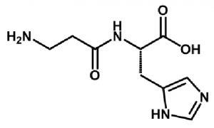 イミダゾールジペプチドを構成するカルノシン（βアラニル－ヒスチジン）の化学構造式