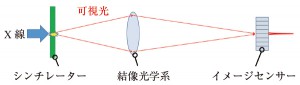 図1　間接変換型X 線2次元検出の概略図。