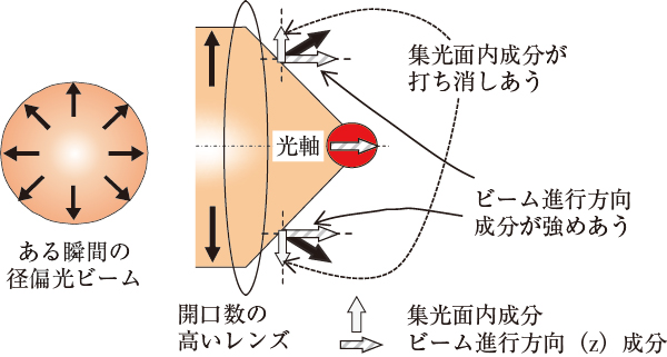 図1　径偏光ビームの集光概念図矢印は電界ベクトルを示す。