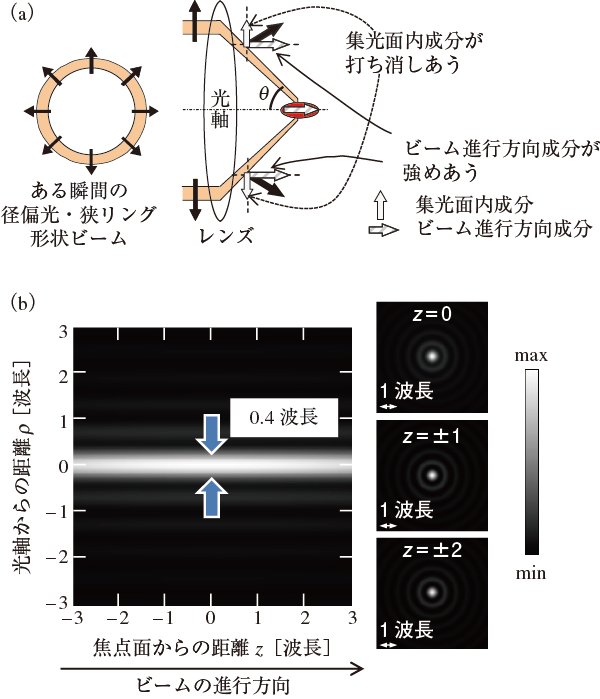 図2　径偏光・狭リング形状ビームとその集光特性（a）径偏光・狭リング形状ビームの集光概念図　（b）焦点近傍の光強度分布 解析結果（集光条件：NA=0.9，狭リング形状ビームの内径/外径=0.9）